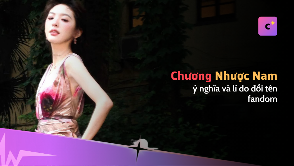 Cái tên fandom "Nam Bằng Hữu" và cô fan đi 18 tiếng tàu: câu chuyện được kể lại về Chương Nhược Nam